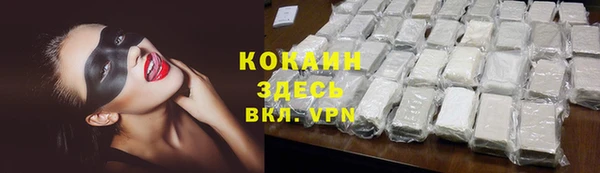 прущие грибы Нефтекумск