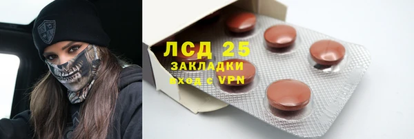 прущие грибы Нефтекумск