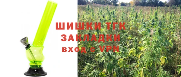 прущие грибы Нефтекумск