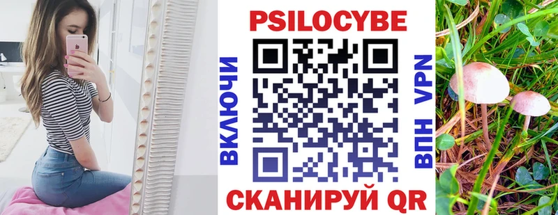 Галлюциногенные грибы Psilocybine cubensis Щёкино